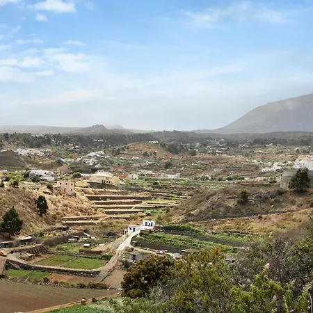 Tazana איקוד דה לוס וינוס